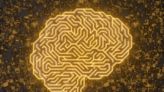 PsychENCODE : Un travail "sans précédent" qui décortique l'ADN cérébral des maladies mentales