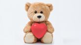 Undercover Cop Dresses as Valentine's Day Teddy Bear to Lure Out Suspected Drug Dealer