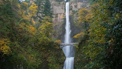 Oregon hiker, 22, dies at Columbia River Gorge after falling off a cliff