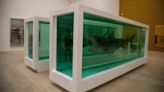 Damien Hirst en CDMX: La controversial y provocadora obra del artista llega ¡gratis!