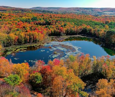 2024 fall foliage: When will leaves change, peak in Upstate NY?