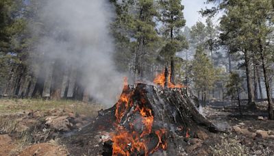 Coconino National Forest, Coconino County, City of Flagstaff to begin Stage 2 fire restrictions Friday