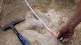 Los investigadores de la UC localizan huellas de dinosaurio en Cantabria