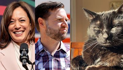 'Cat Ladies for Kamala Harris' are campaigning AND shading JD Vance