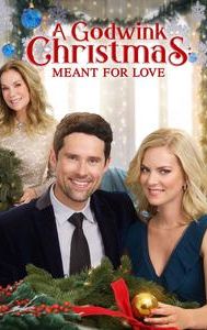 A Godwink Christmas: Meant for Love