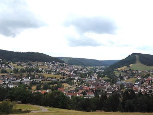 Diese Gemeinde in Baden-Württemberg hat nach Stuttgart die zweitgrößte Fläche