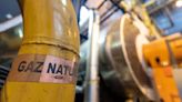 Europe urged to save natural gas to avoid shortage next year