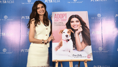 Diana Penty: So many animals need good homes | Hindi Movie News - Bollywood - Times of India
