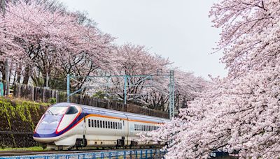 賞櫻花海免人擠人！JR東日本賞櫻5選2公里萬株粉櫻隧道美拍