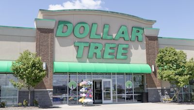 8 Best Items To Buy at Dollar Tree To Resell on Amazon for Major Profits