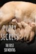 Puppy Secrets: First Six Months