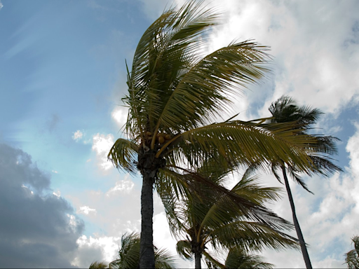 What storm is coming to Florida? Here's what to know about the potential tropical cyclone