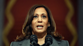 "Unpatriotic": Kamala Harris Slams US Flag Burning At Anti-Netanyahu Protest