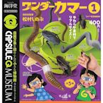 全套5款 日本正版 袖珍博物館 珍奇巨大蟲蟲 P1 扭蛋 轉蛋 巨大蟑螂 蚯蚓 昆蟲模型 海洋堂- 083166