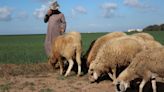 Marruecos aprueba medidas urgentes para mitigar la escasez de agua