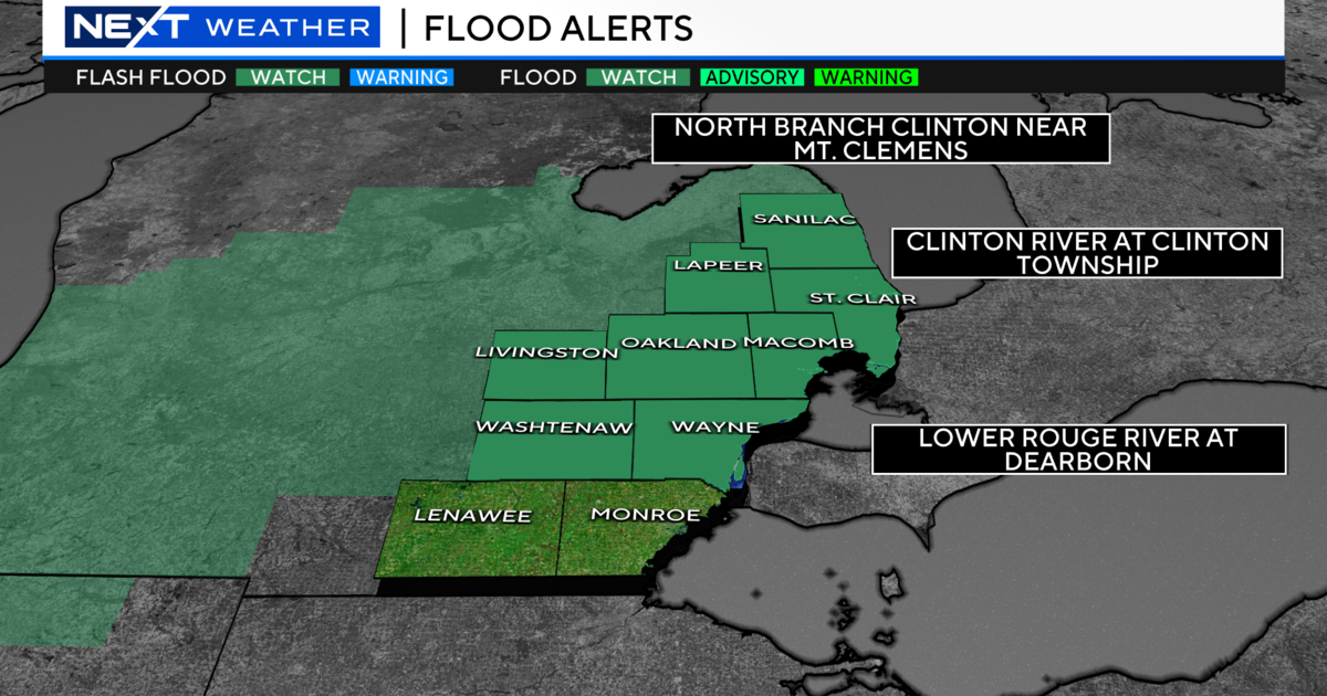 Flood watch issued for most of Southeast Michigan as remnants of Beryl move in