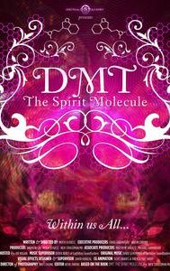 DMT: The Spirit Molecule