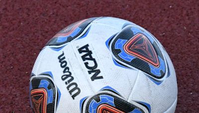 GIRLS SOCCER: Downriver and Dearborn region playoff pairings