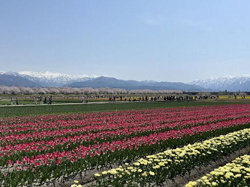 收藏日本富山縣必訪打卡絕景 下次別錯過