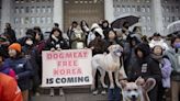 El parlamento surcoreano aprueba prohibir el consumo humano de carne de perro para 2027