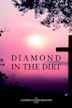 Diamond in the dirt | History, Horror