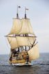 The Mayflower Pilgrims: Behind the Myth