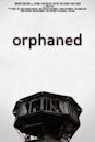 Orphaned