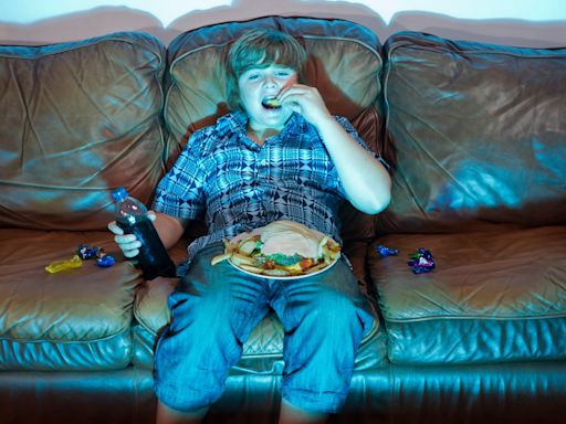 Couch potato children more likely to suffer premature heart damage