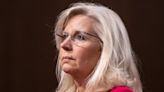 Liz Cheney chides GOP senator for promoting latest Jan 6 conspiracy: ‘You’re a lawyer, Mike’