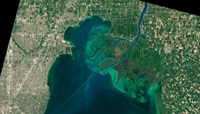 Health unit issues caution over blue-green algae bloom on Lake St. Clair