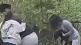 Disturbing moment people are seen tearing bear cubs from trees - and dropping them