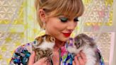 Los gatos de Taylor Swift tienen una afección que les causa dolor constante. ¿De qué raza son?