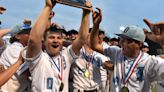 DISTRICT 2 BASEBALL: Leandri's seventh-inning single lifts Dallas to Class 4A title