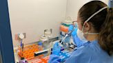 DNA vaccine against Zika performs well in tests on mice