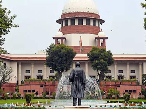 Criminals not born out but made: Supreme Court