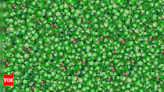 Take the challenge: Spot the LAUGHING pea in this colourful image - Times of India