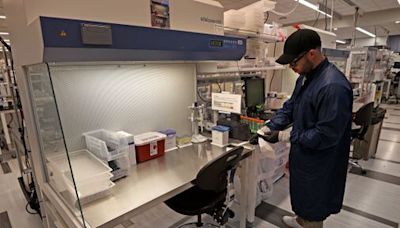 Moderna COVID vaccine sales plummet 91 percent - The Boston Globe