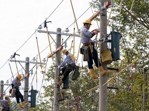 藍白提案全面凍漲電價 遭民進黨技術性冷凍1個月 王美花仇恨值飆到最高點