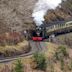 Vale of Rheidol Railway