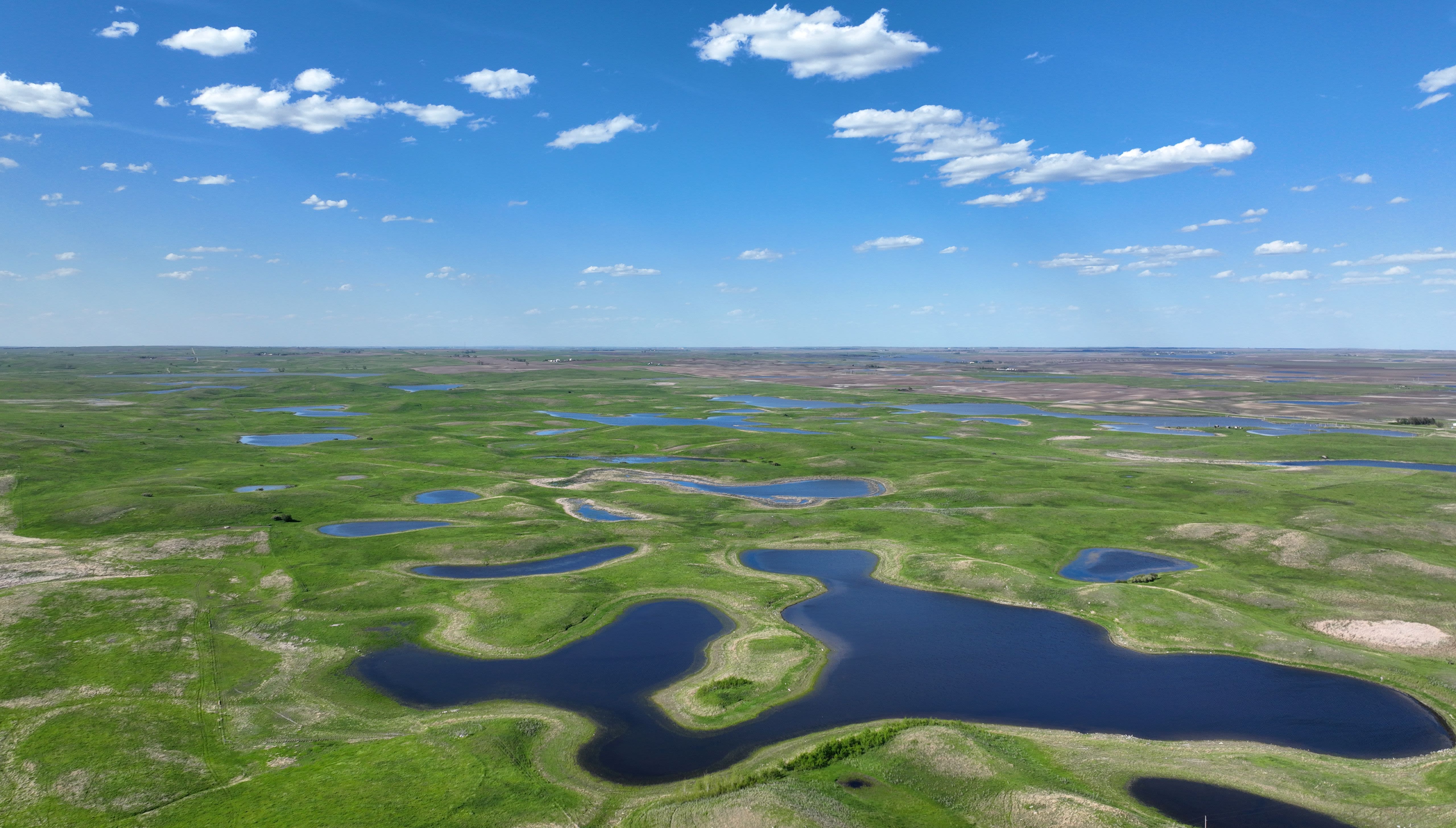 Ducks Unlimited, partners surpass 1 million-acre wetlands conservation milestone