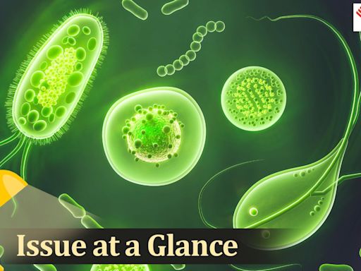 UPSC Issue at a Glance | Antimicrobial Resistance and India: 4 Key Questions You Must Know for Prelims and Mains