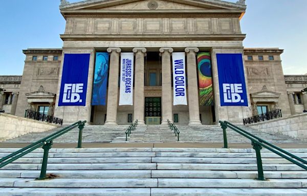 Full list of Chicago free museum days for August 2024