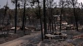 UNM athletics collecting donations for Ruidoso fire victims. Here's how to help.