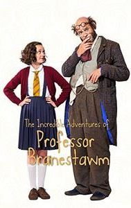 The Incredible Adventures of Professor Branestawm