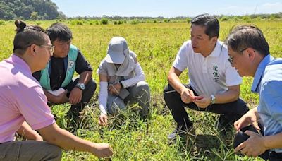 凱米重創宜蘭 陳俊宇成功爭取30多項農產現金災害救助