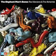 Elephant Man s Bones