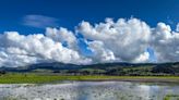 California’s groundwater supply received big boost from ’23 water year