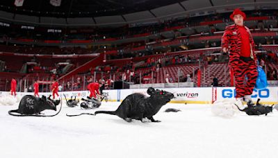 Why do Panthers fans throw plastic rats on the ice? Here's how this tradition got started.