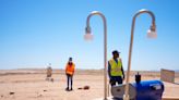 'A tipping point': Arizona universities join forces to map the deadly Valley fever fungus