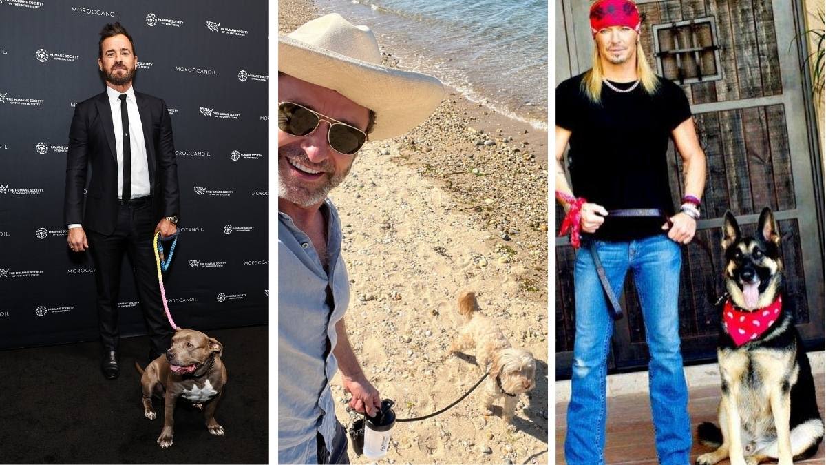 5 Adorable Celebrity Pet Dads You Just Have to See to Believe